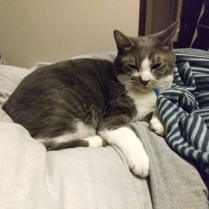 B12f08ea 91da 4dbe 8719 a9382d640cd0 1614088528556