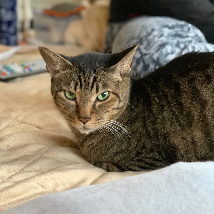 B12f476f a448 4466 ac13 d9d2295405ad 1542763821951