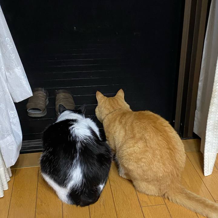 B12facc1 96b4 4092 b856 29b0b150bc1e 1631065654957