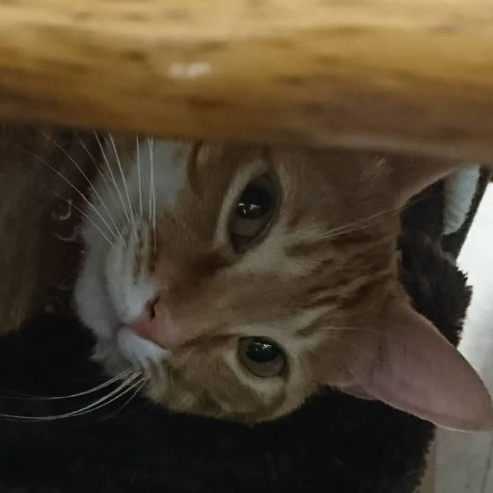 B12fc6f0 ccf1 414e 8748 6174614fd3d8 1519167418813