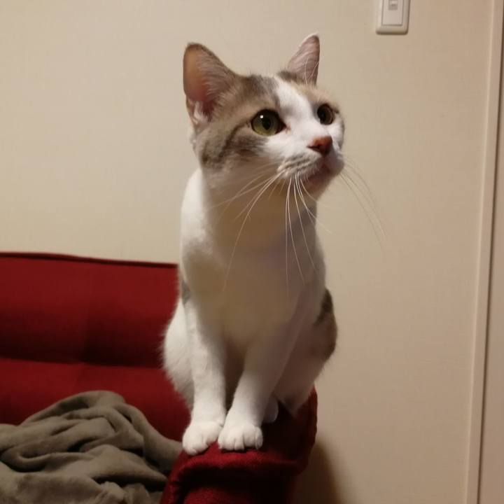 B12fc94d ec44 4d6d bc59 9def200ea914 1572783279883