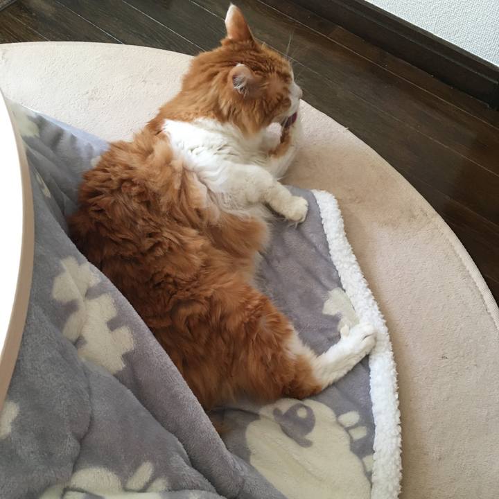 B12fdb9a 5d9d 44f0 88f5 6508147f840b 1572837705198