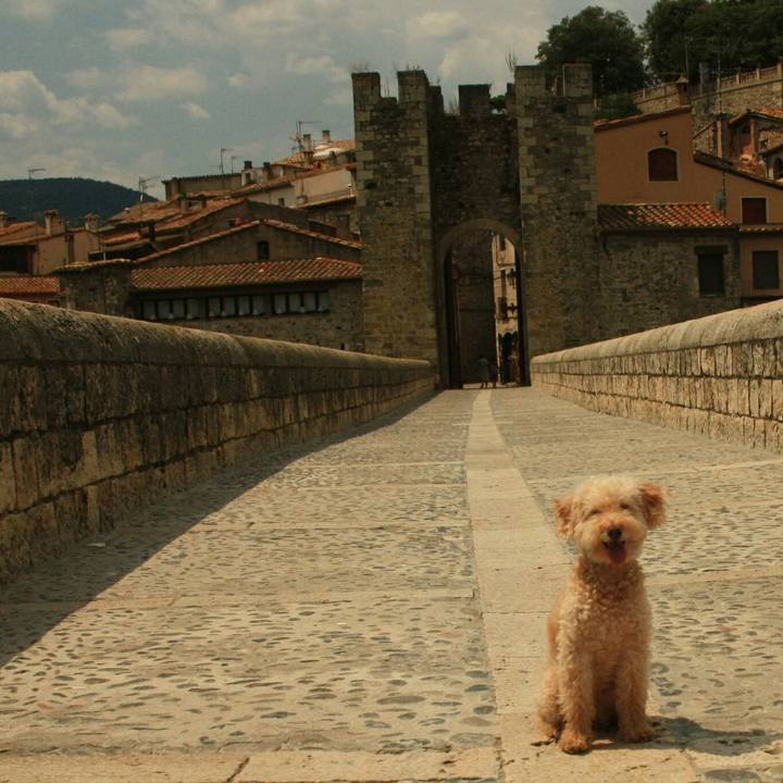 B12fdf37 5704 4cbe 8300 5733641ff706 1535010528834