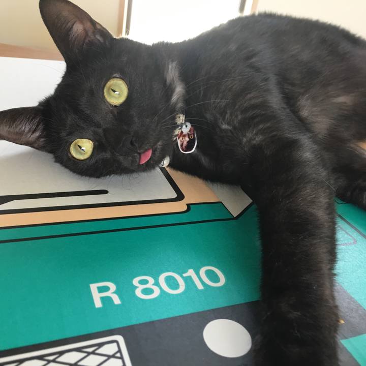 B1301bb2 3cb0 41fd 8fd5 e5a359305284 1533953142540