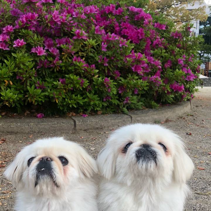 B1304145 fa9d 4700 bb36 c3625e49640b 1587678171060