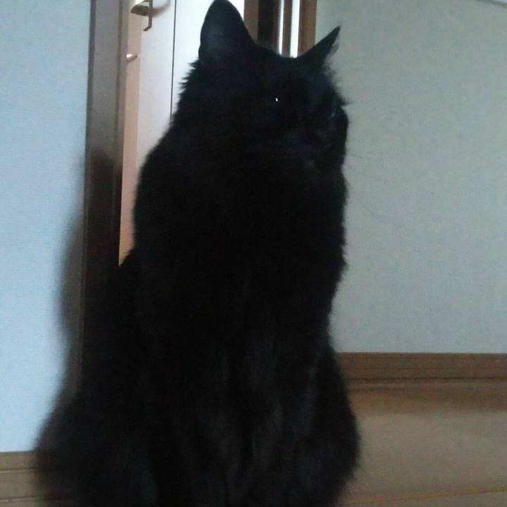 B1306781 20b7 4ef0 a80f c1d78a2ecd88 1522897531993