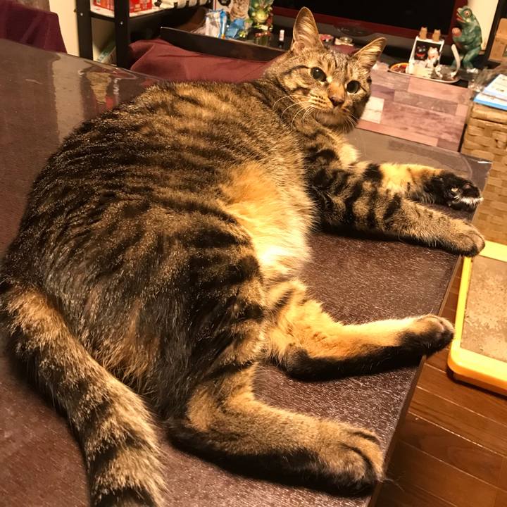 B1308040 7714 48dd 8931 71fca2ec3f31 1636027950669