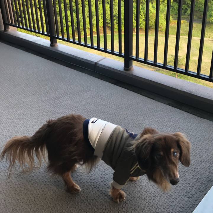 B1308983 5215 4ece a927 9e6f6d2090d9 1524040526981