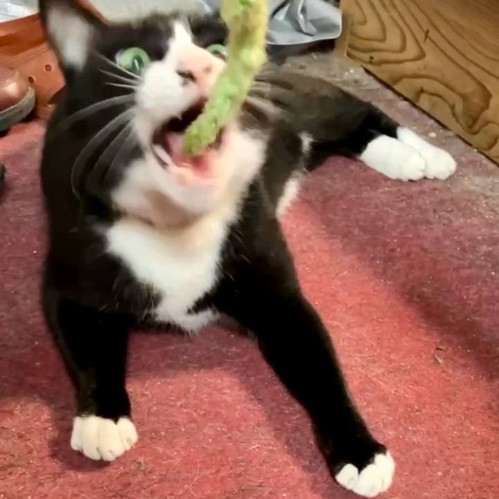 B130bc3c 2eab 45c8 89e4 0a0c8e6ba456 1728961539028