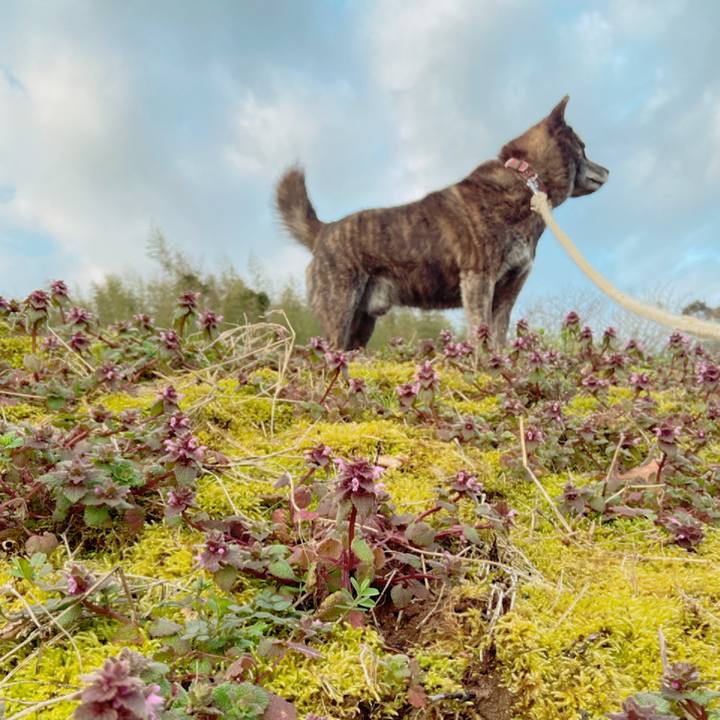 B130c61b 3d36 4343 96d3 6f48b13998c4 1583965273257