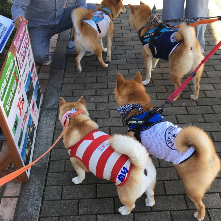 B130ca3a 975b 468b 984b 9b7ef328d818 1560674069403