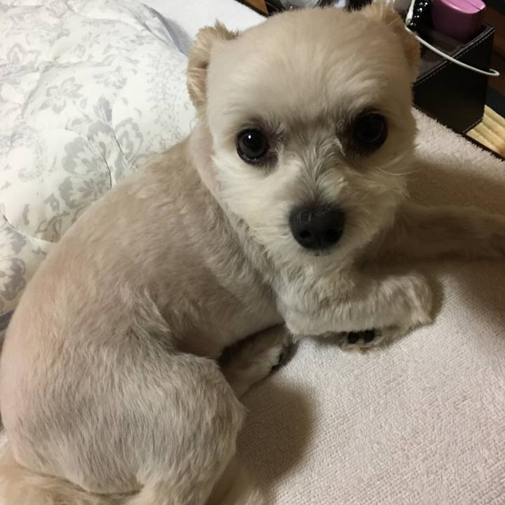 B130d10c b3a3 4ae7 a1a5 95dce09b3283 1563187900828