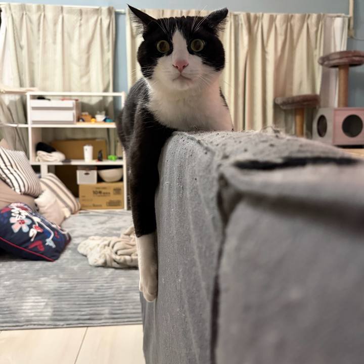 B130dd64 1173 4340 a211 edfcf71c891e 1767445148775