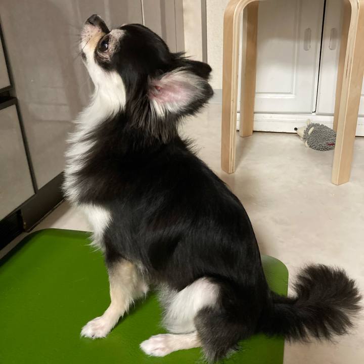 B13104a2 6df7 4dcf 90c3 91b94a5987ea 1628947378134