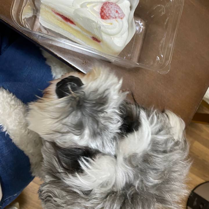 B1311635 f350 4dc2 865b cb03bca3b761 1600002649235