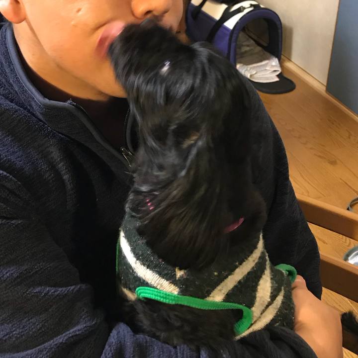 B131277f bb77 4730 8a84 69e74eae9203 1515595831061