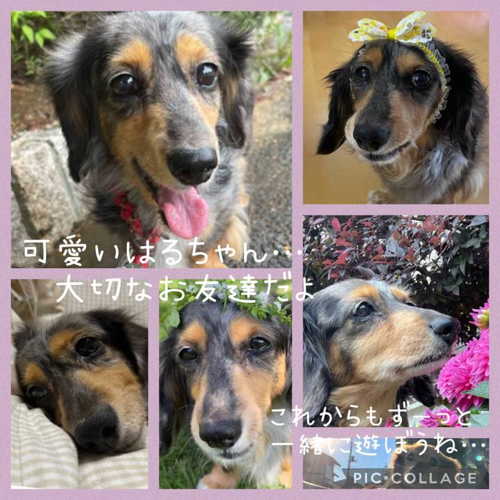 B13129df cc7c 4c32 9df3 4247a87403d0 1672408464538