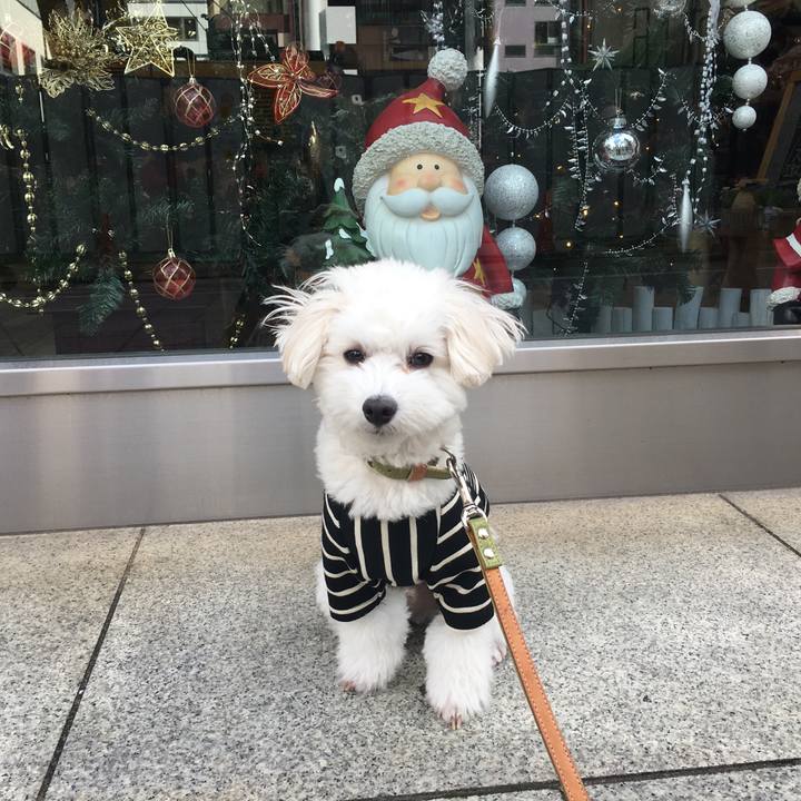 B131315f 9f78 4834 b58b f31780e280b6 1543044296183