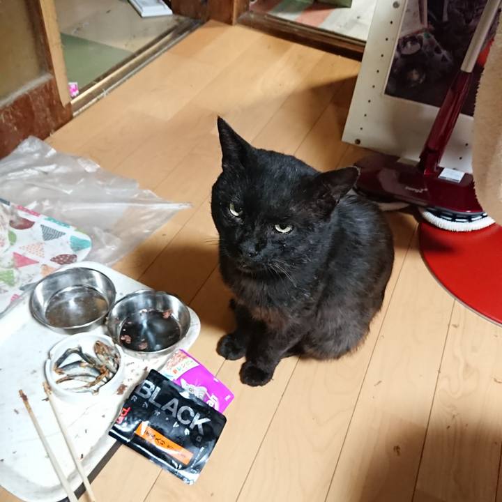 B1316574 906d 4469 95b9 a09302905704 1625918873109