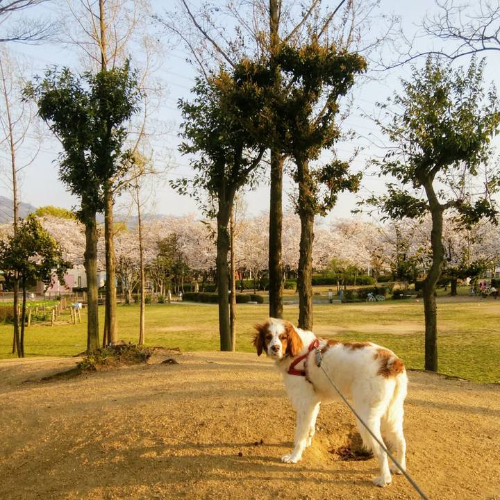 B1317283 87c0 4764 81bb 54b818ac9f0a 1554723952495