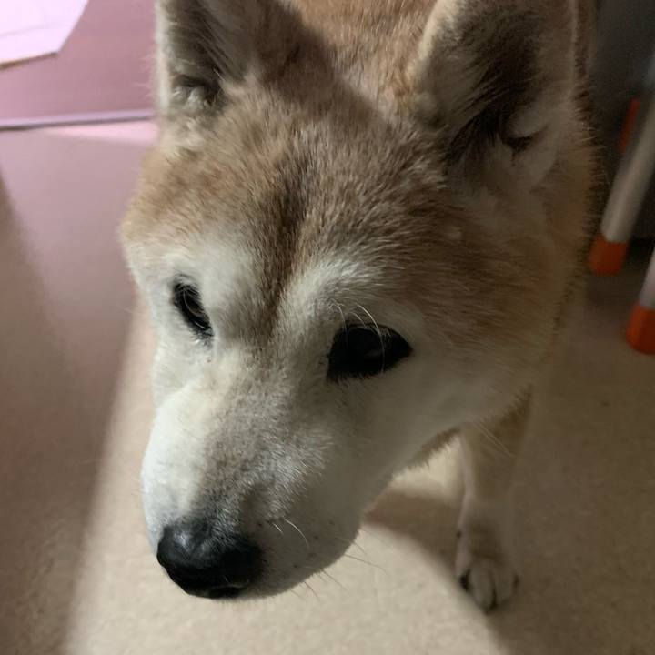 B131aa40 7109 44d9 b0f6 c3f3fb8a25f2 1676716941070