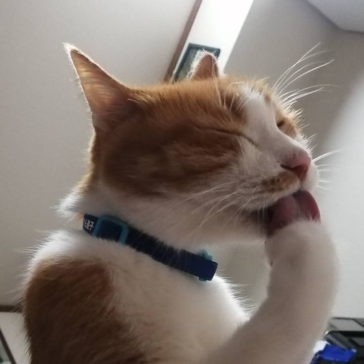 B131cb6e ef35 4f23 90f4 f6db5f64ab65 1642308763914