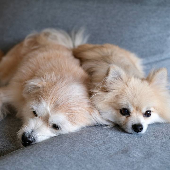 B132195f f426 44d5 b9bf 14baa8223d46 1761949857401