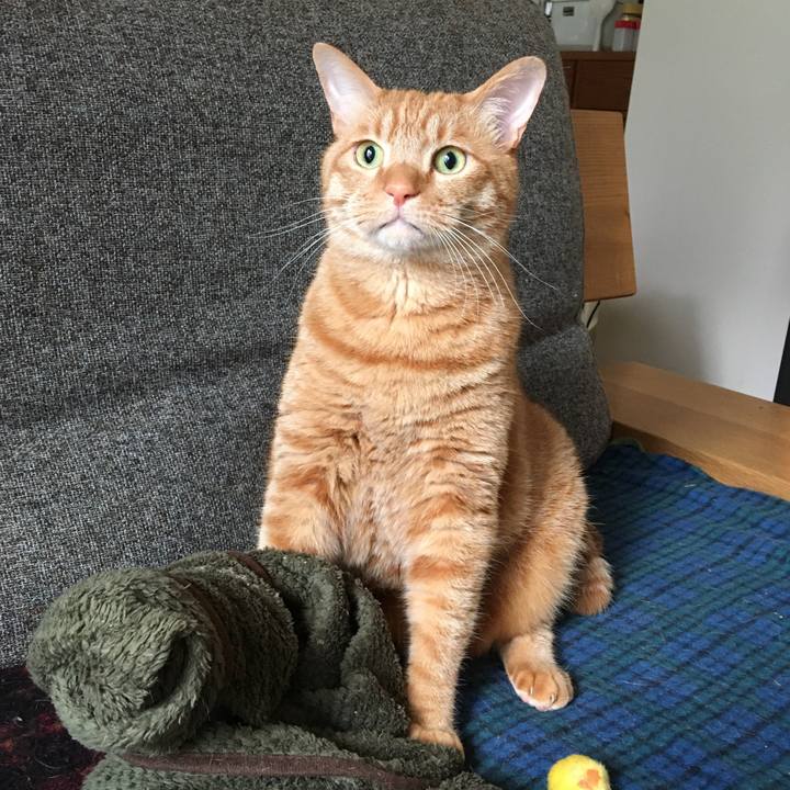 B1324b4f 3a18 42cb b9b8 09a70ee5da26 1583791733967