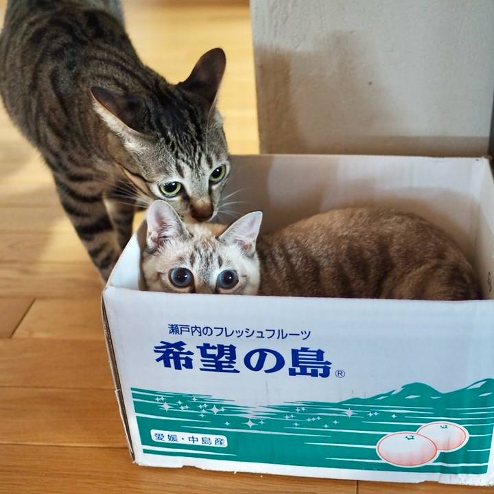 B13267f0 e7fb 4596 9fe6 4e988b2f38ea 1773229779901