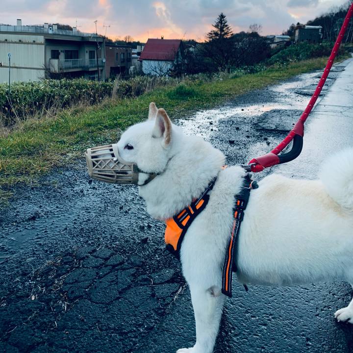 B1327398 920b 482e b4eb d848d5d9979c 1668404368104