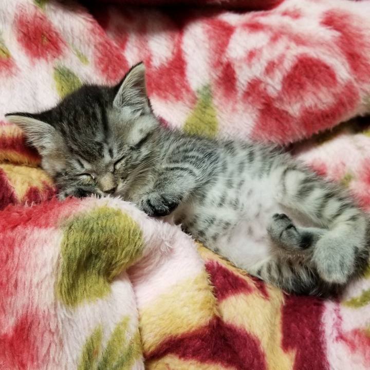 B132c42d 701b 4ace b5bb d3fc415d2c45 1661182451687