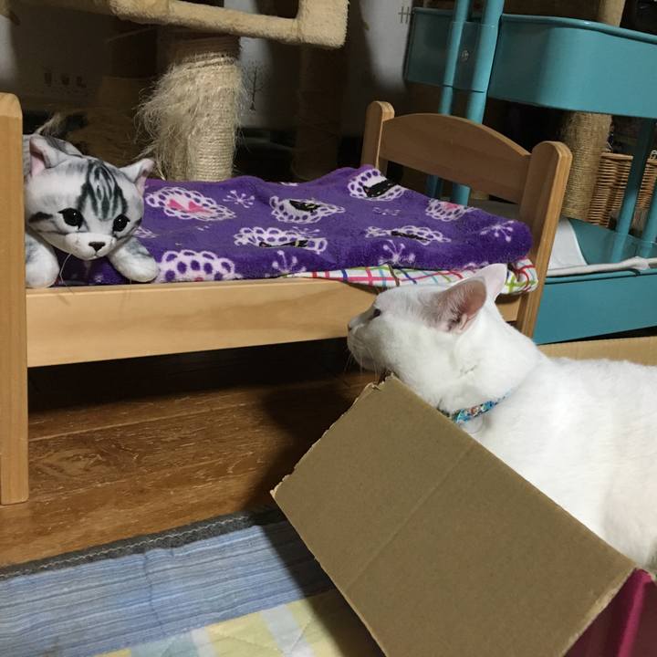 B132c590 5dff 4e49 900e 6951fce24e1b 1538238049976