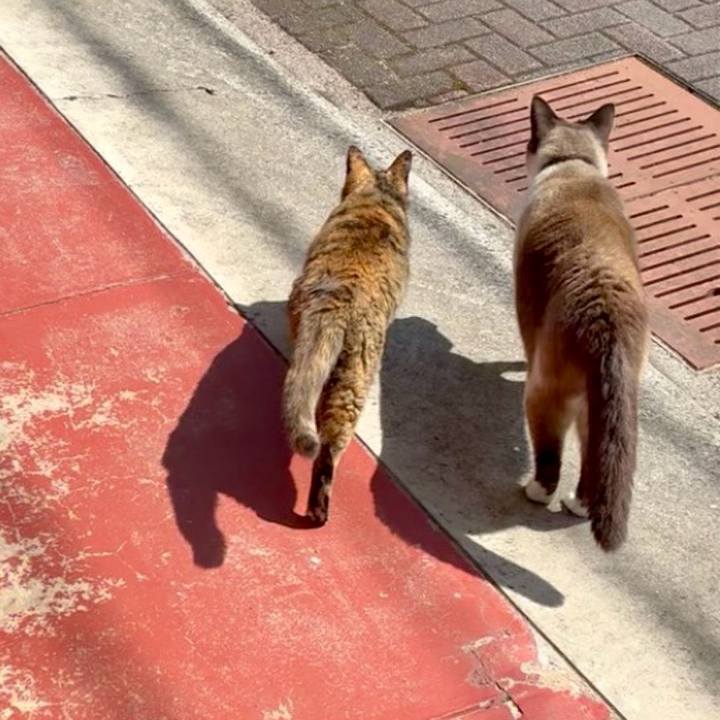 B132d301 3e2b 4ff8 bf70 52310a997c9c 1774235900217