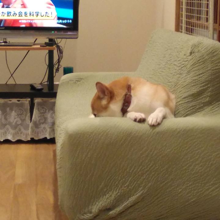 B13306fc 401c 4584 ab48 2b575a585a27 1539429356688