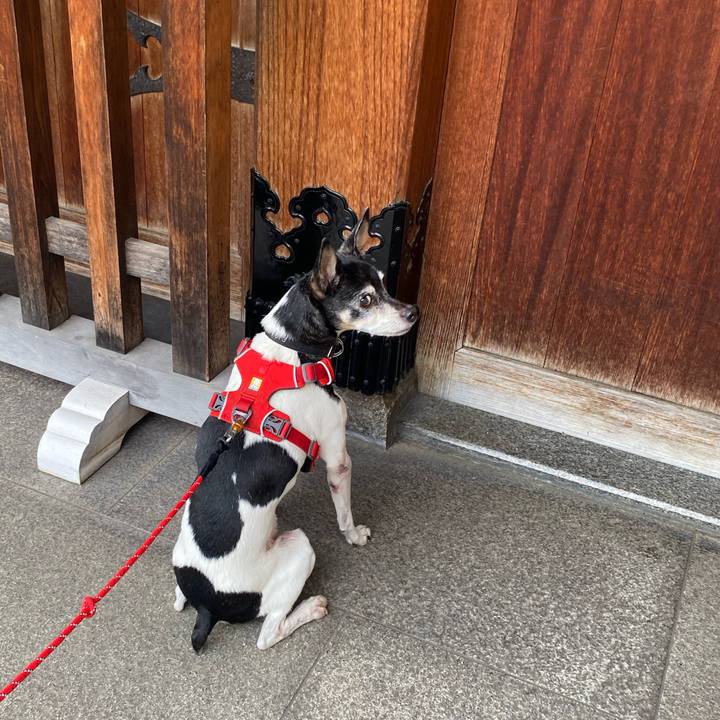 B1332ccc bd6a 4189 8622 27a303950b30 1617508415160