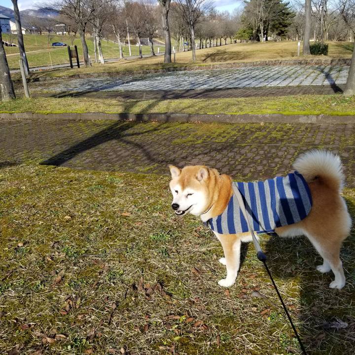 B1335ec1 b7a3 4c1e 90af a40c75dc0f2a 1638333939637