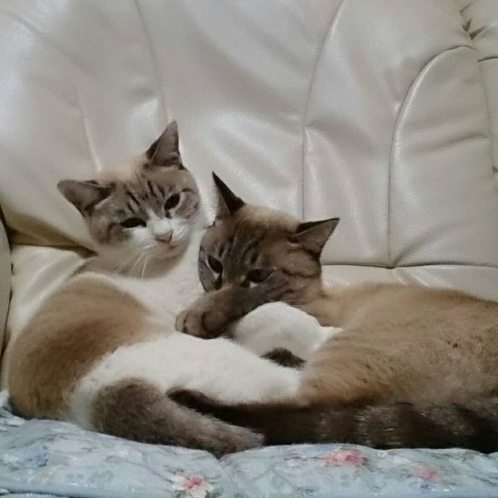 B1338c4d cc85 40f7 8d10 8313cf77dc28 1508240020106