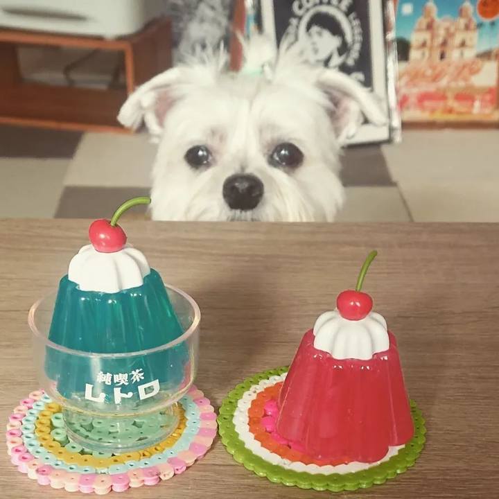 B1339e48 0070 4d97 97f9 ea6cc37bb211 1678271049217