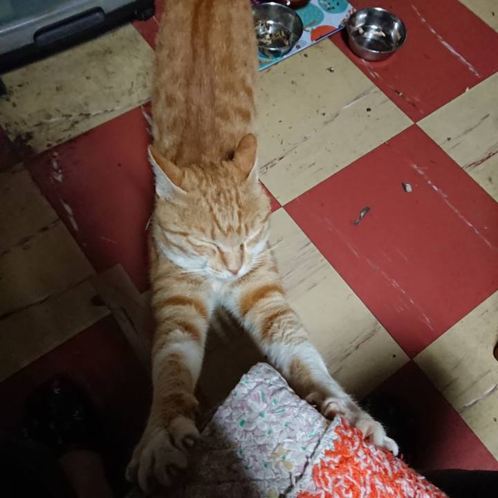 B133a149 3877 43eb 84d5 444a945a9be3 1562615756064