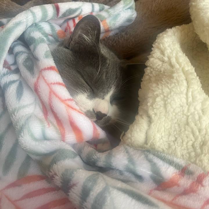 B133a457 313e 4c28 ab95 c7c75704f757 1681083775292