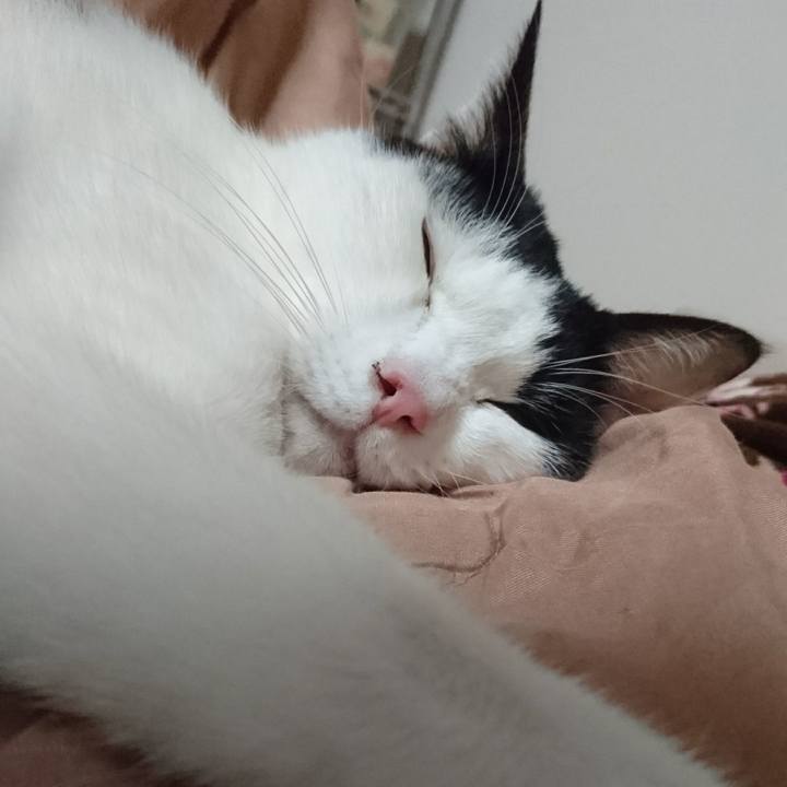 B133a5bb ff10 43d3 a8b8 33ea4b11a625 1543404011517