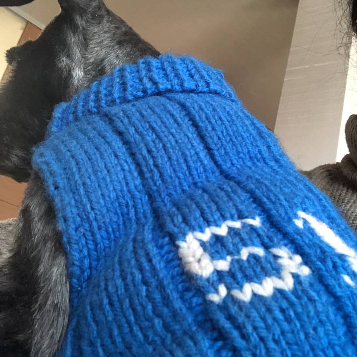 B133ca1e dfef 4caf 89a9 93f5926b26a8 1519446330358