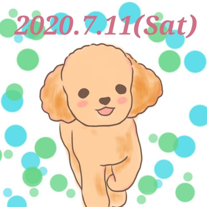 B133fa8d 7919 45b1 8212 475bbd85add9 1594430882742