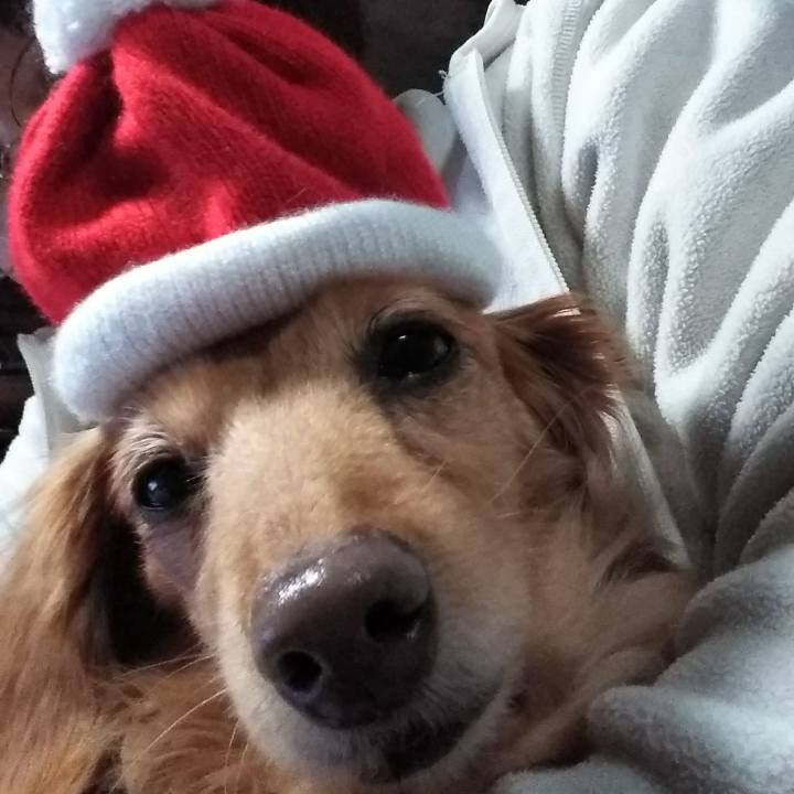 B1340f21 74d5 4896 9d40 4d7bbcde36ff 1640352750013