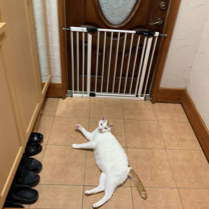 B1344423 2825 49a7 aaac 470fd7082020 1658058413841