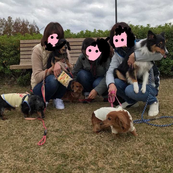 B1344520 24b5 4d2c b0f3 ff2a590292f3 1543093103120