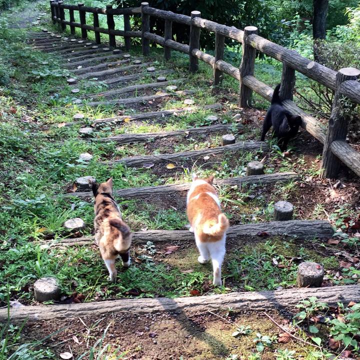 B1344b0e d71a 426a b7af 20ab2e10cb4b 1535616559067