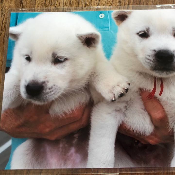 B1346d24 4b45 4c27 b5f2 c704673dc0dd 1554199902192