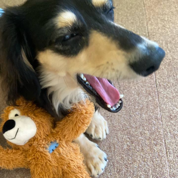 B134b954 eed5 4b52 8263 2e21d6aa8e5b 1710376605131