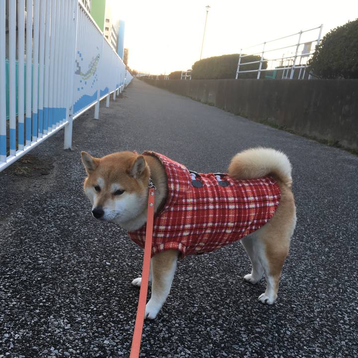 B134fd25 b30d 433f b682 5efd65ab06f6 1548316084293